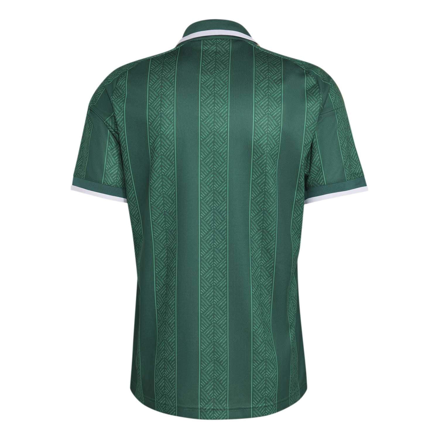 Maillot Afrique du Sud extérieur Coupe du Monde 2026
