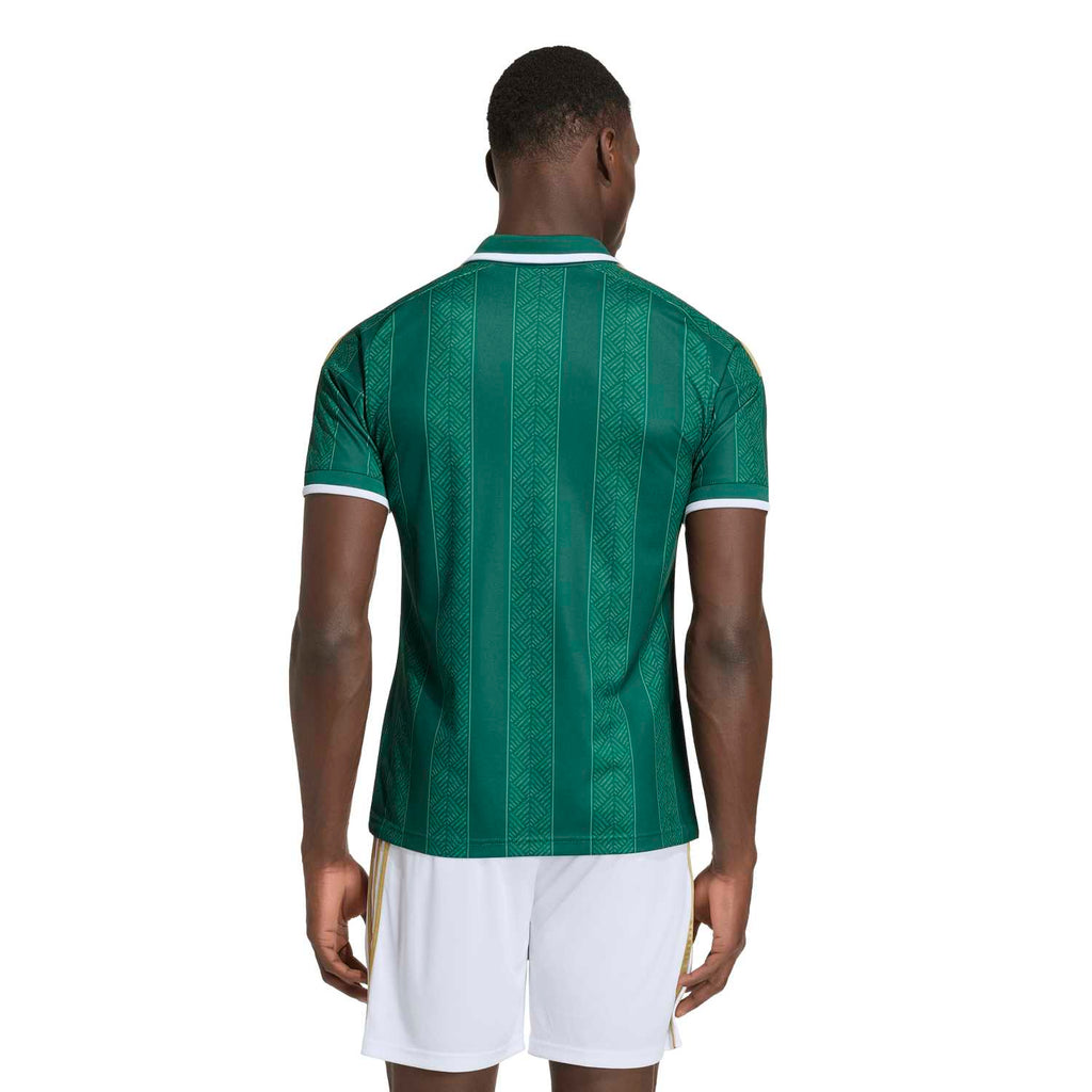 Maillot Afrique du Sud extérieur Coupe du Monde 2026