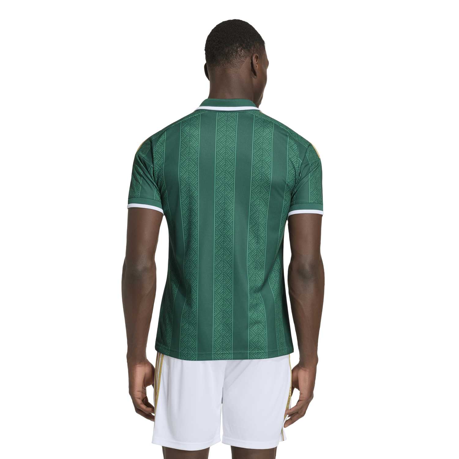 Maillot Afrique du Sud extérieur Coupe du Monde 2026