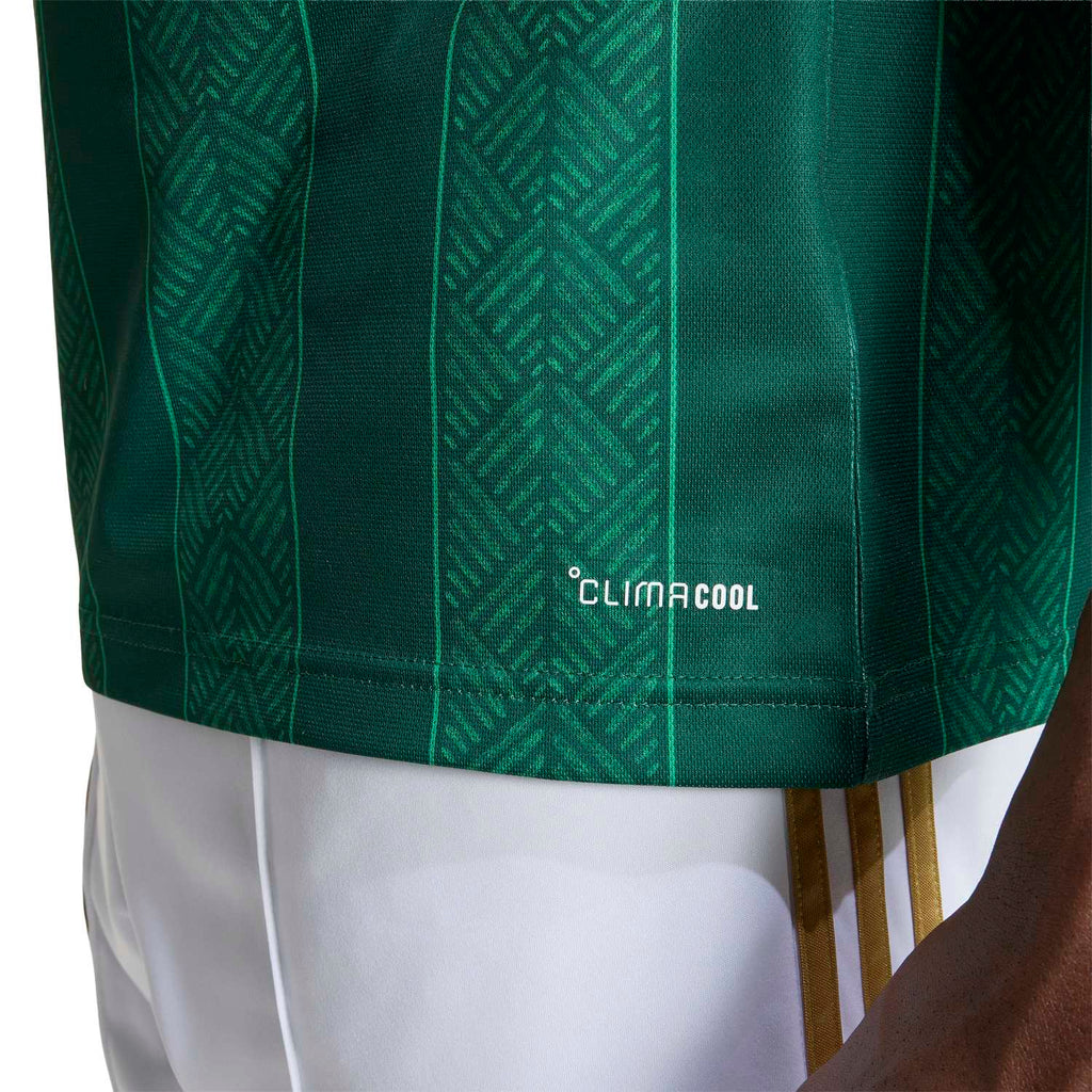 Maillot Afrique du Sud extérieur Coupe du Monde 2026