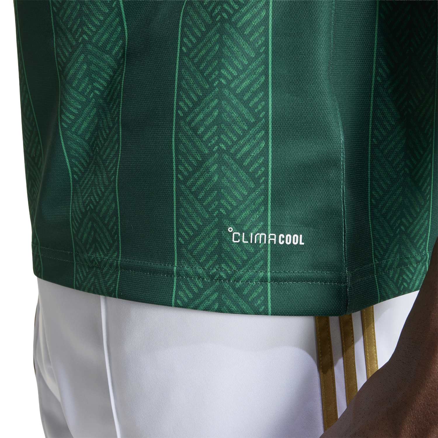 Maillot Afrique du Sud extérieur Coupe du Monde 2026